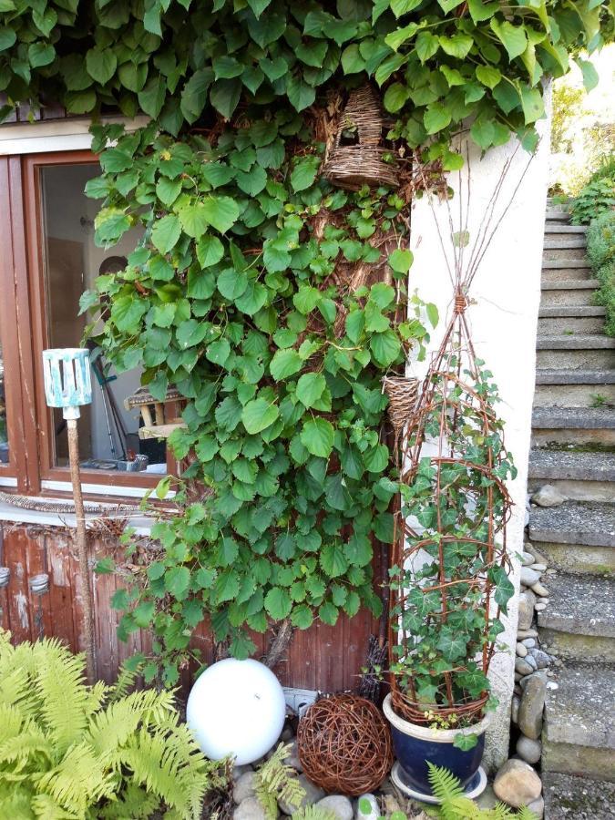 Ferienwohnung Rosa Muller Wangen im Allgäu Exteriér fotografie